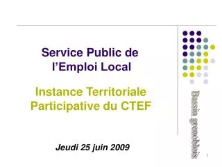 instance territoriale participative du ctef