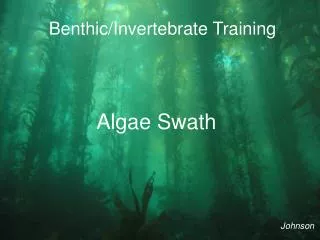 Benthic/Invertebrate Training