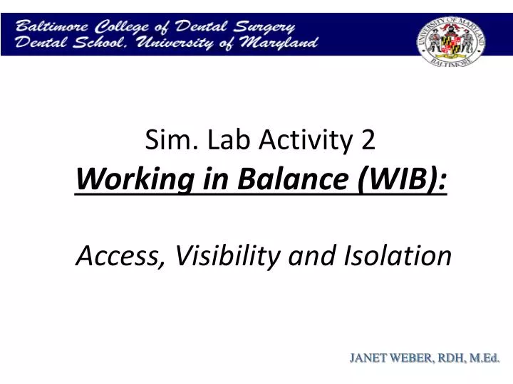 sim lab activity 2 working in balance wib access visibility and isolation