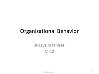 organizational behavior