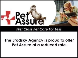 First Class Pet Care For Less