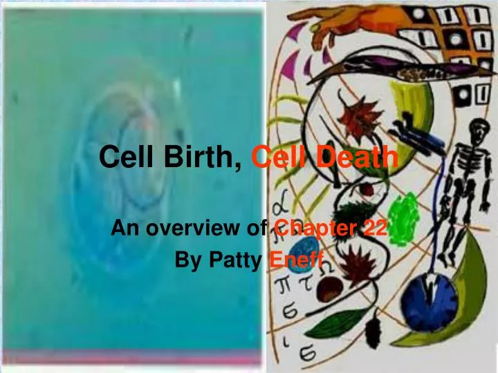 cell birth cell death