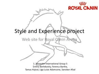 Style and Experience project