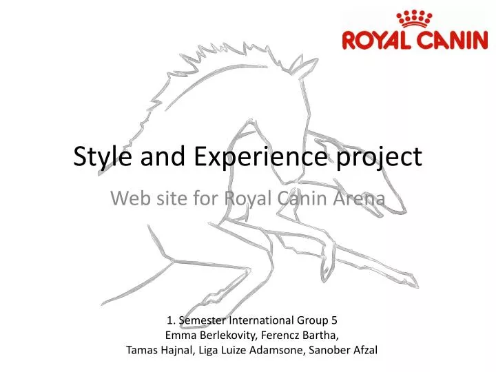 style and experience project