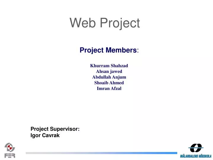 web project