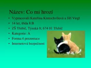 n zev co mi hroz