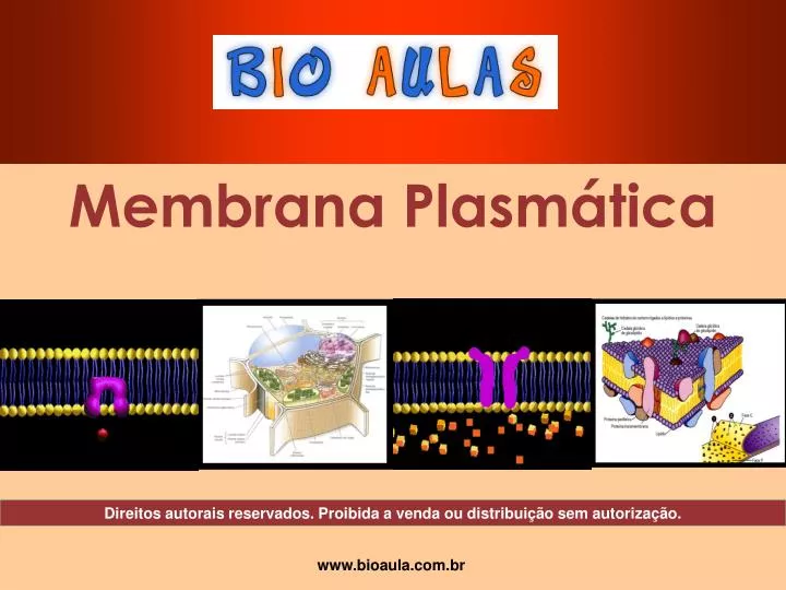 membrana plasm tica