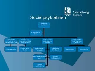 socialpsykiatrien