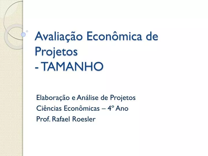 avalia o econ mica de projetos tamanho