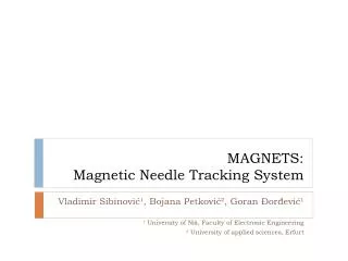 MAGNETS: Magnetic Needle Tracking System