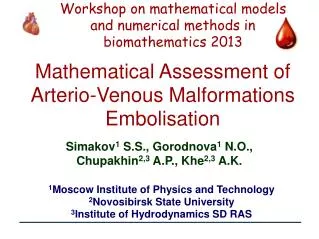 Mathematical Assessment of Arterio-Venous Malformations Embolisation