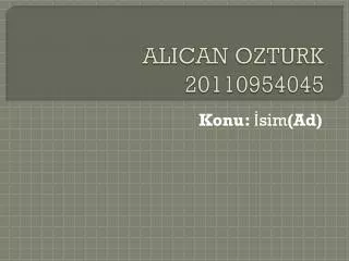 alican ozturk 20110954045