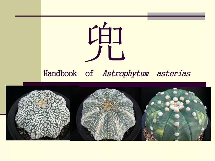 handbook of astrophytum asterias