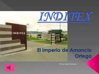 inditex
