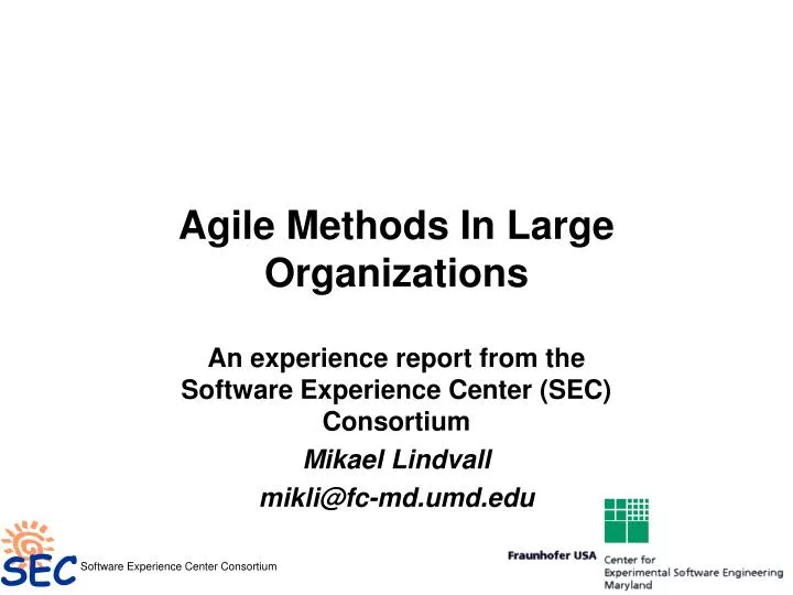 agile methods in large organizations