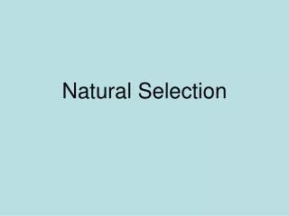 Natural Selection