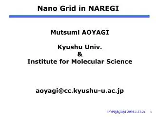 Nano Grid in NAREGI
