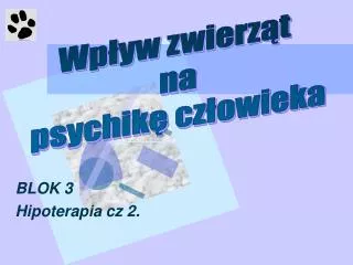 blok 3 hipoterapia cz 2