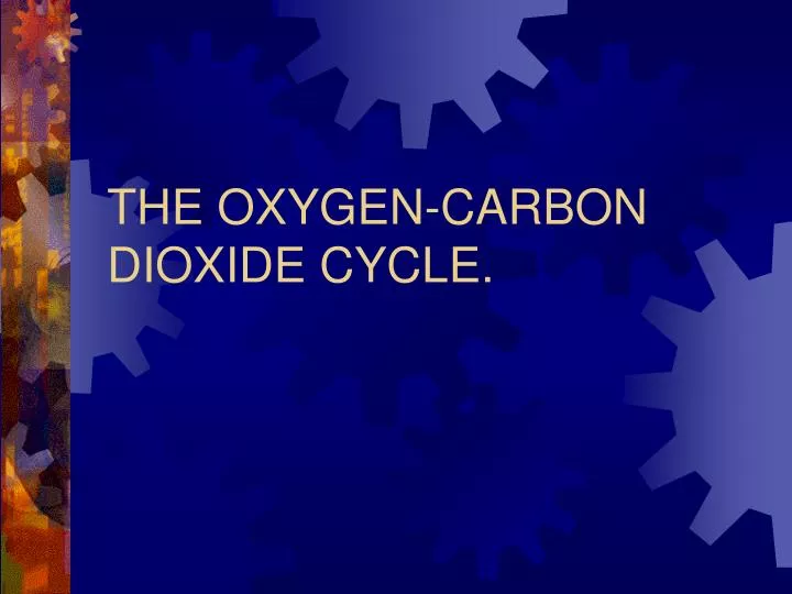 the oxygen carbon dioxide cycle