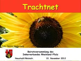 trachtnet