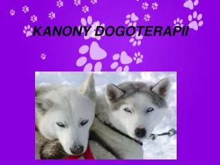 kanony dogoterapii