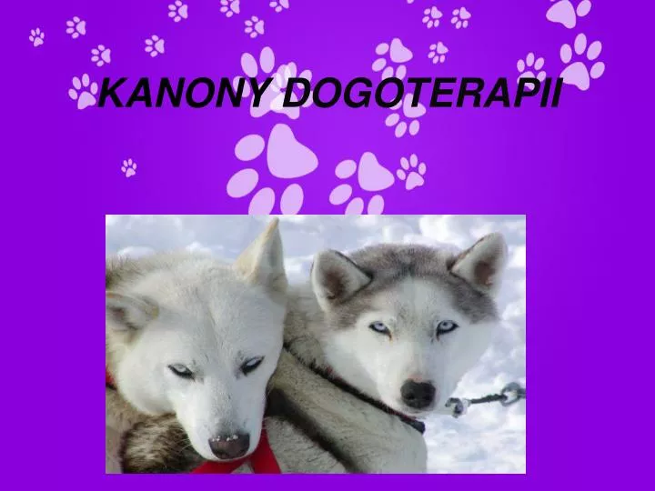 kanony dogoterapii