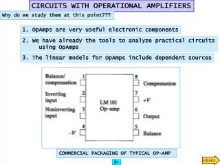 CIRCUITS WITH OPERATIONAL AMPLIFIERS