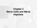 Chapter 2 Nerve Cells and Nerve Impulses - slide 1