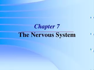 chapter 7 the nervous system