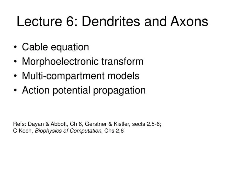 lecture 6 dendrites and axons