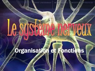 organisation et fonctions