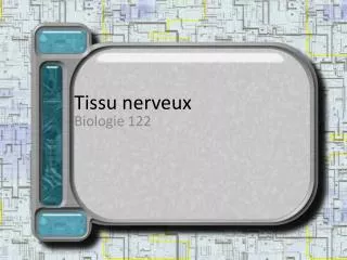 tissu nerveux