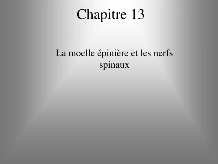 chapitre 13