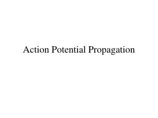 Action Potential Propagation