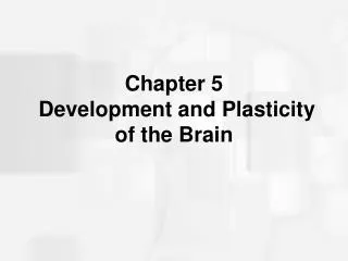 Chapter 5 Development and Plasticity of the Brain