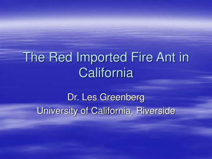 the red imported fire ant in california
