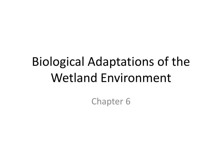 biological adaptations of the wetland environment