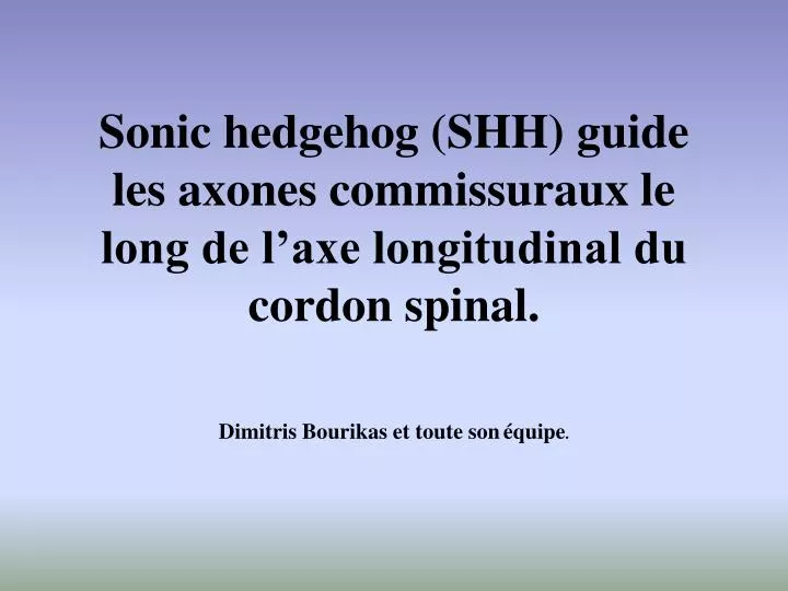 sonic hedgehog shh guide les axones commissuraux le long de l axe longitudinal du cordon spinal