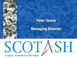 Peter Quinn Managing Director