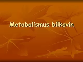 metabolismus b lkovin