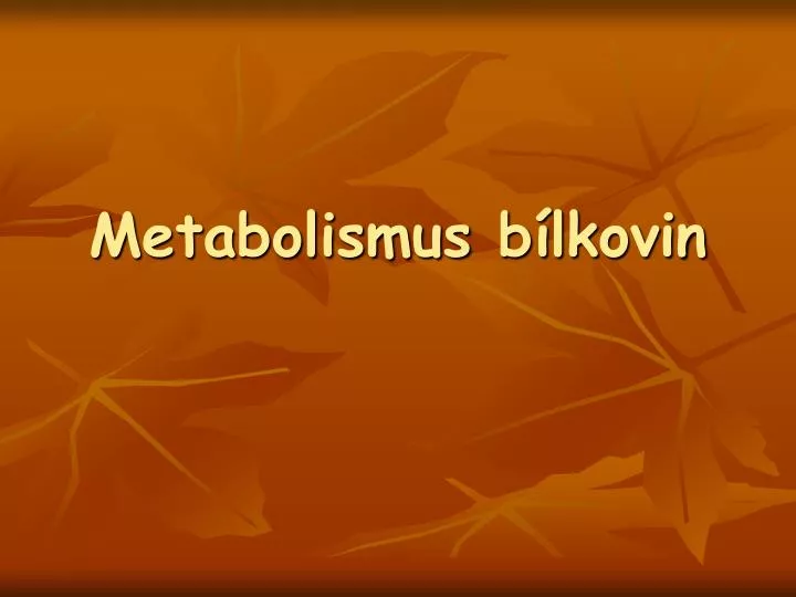 metabolismus b lkovin