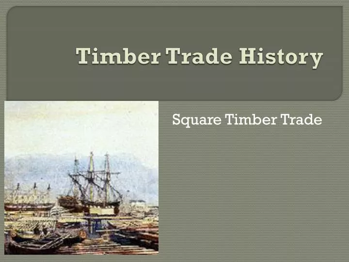 timber trade history