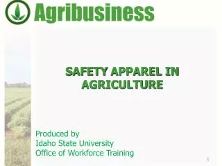 SAFETY APPAREL IN AGRICULTURE