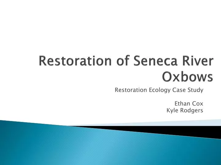 restoration of seneca river oxbows