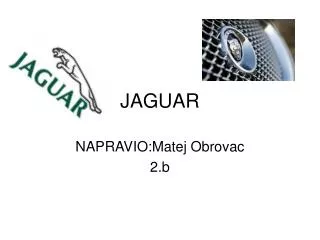 jaguar