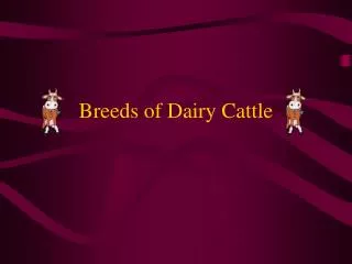 Breeds of Dairy Cattle