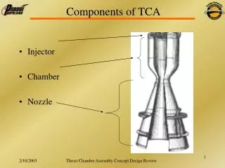 Components of TCA