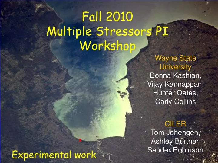fall 2010 multiple stressors pi workshop