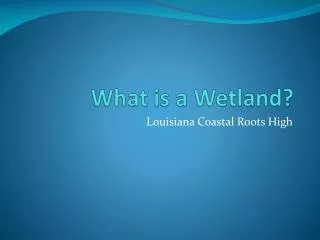 What is a Wetland?
