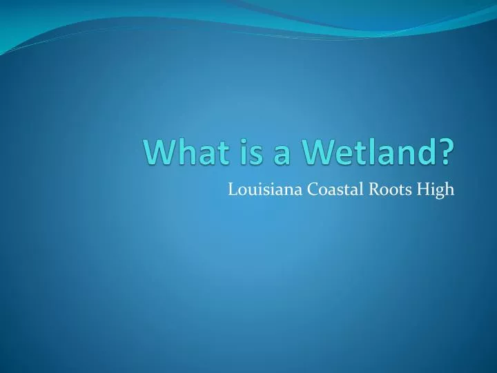 what is a wetland